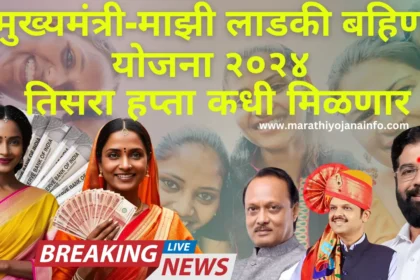 'मुख्यमंत्री -माझी लाडकी बहिण योजना 2024 तिसरा हप्ता | Mazi Ladki Bahin Yojana Third Installment.या तारखेला जमा होणार ४५०० रुपयांचा पहिला तर १५०० रुपयांचा तिसरा हप्ता.जमा झाले नाहीतर 'हे 'करा.